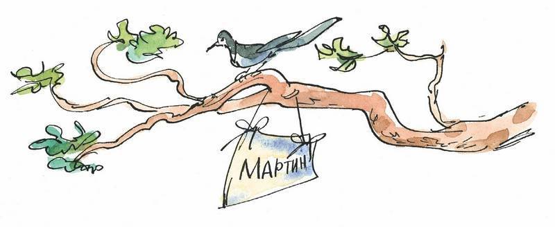 Маленький подарок Антона - i_013.jpg