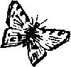 Там, где белеют палатки юннатов - Tamgb012_.png