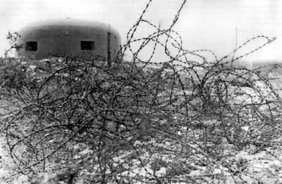 Берлин 45-го: Сражения в логове зверя - _005_dot_owb.jpg