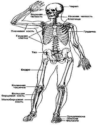 Шокирующая правда о воде и соли - any2fbimgloader23.jpeg