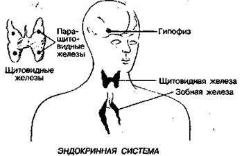Шокирующая правда о воде и соли - any2fbimgloader30.jpeg
