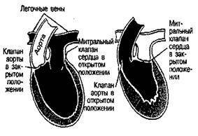 Шокирующая правда о воде и соли - any2fbimgloader8.jpeg