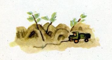 Красиво — некрасиво - i_002.jpg