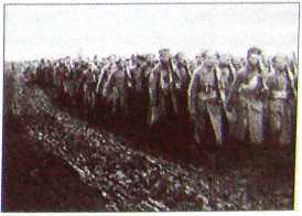 Исторические хроники с Николаем Сванидзе. Книга 1. 1913-1933 - i_094.jpg