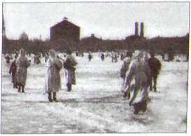 Исторические хроники с Николаем Сванидзе. Книга 1. 1913-1933 - i_113.jpg