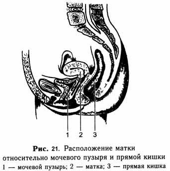 Энергетическое здоровье - _23.jpg