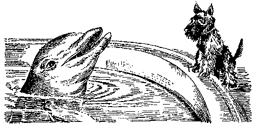 Грот афаліны - i_018.png