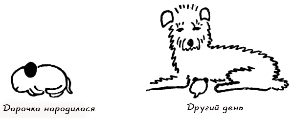 Казки для Дарочки - doc2fb_image_03000002.png