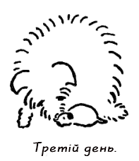 Казки для Дарочки - doc2fb_image_03000003.png