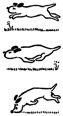 Казки для Дарочки - doc2fb_image_03000019.png