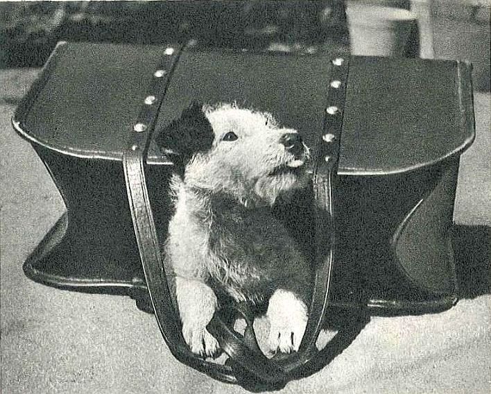 Казки для Дарочки - doc2fb_image_0200003F.jpg