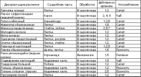 Встреча с Кощеем Бессмертным. Практика бессмертия - i_101.png