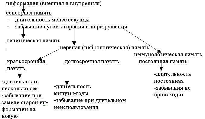 Информационная СК-терапия - _1.jpg
