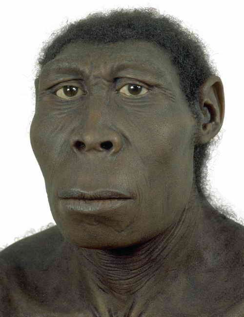 Sapiens. Краткая история человечества - i_005.jpg