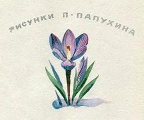 Снежное чудо - img_10.jpg