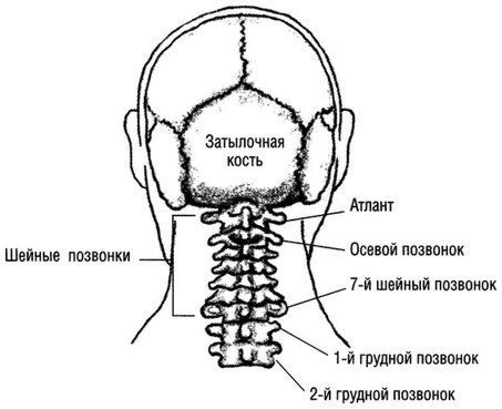 Квантовое Прикосновение: Исцеляющая энергия - i_054.jpg