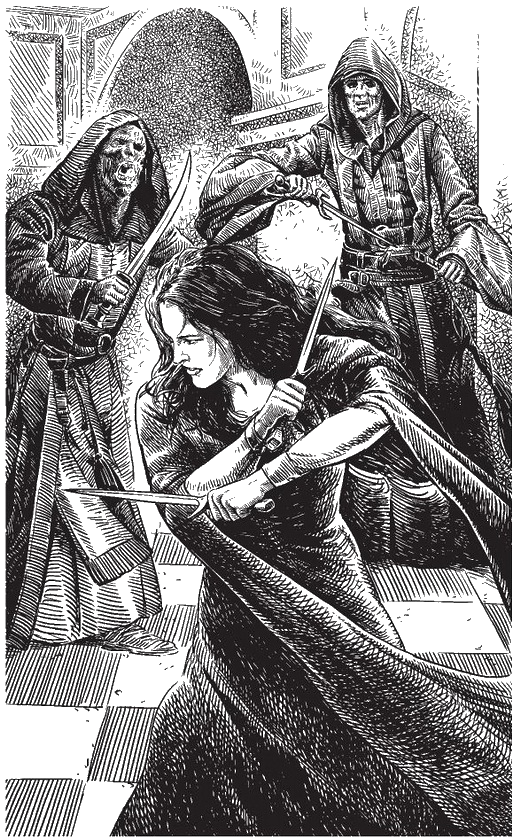Проклятие Этари (СИ) - i_001.png