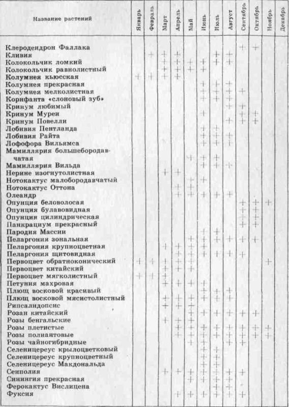 Комнатное цветоводство - i_016.jpg