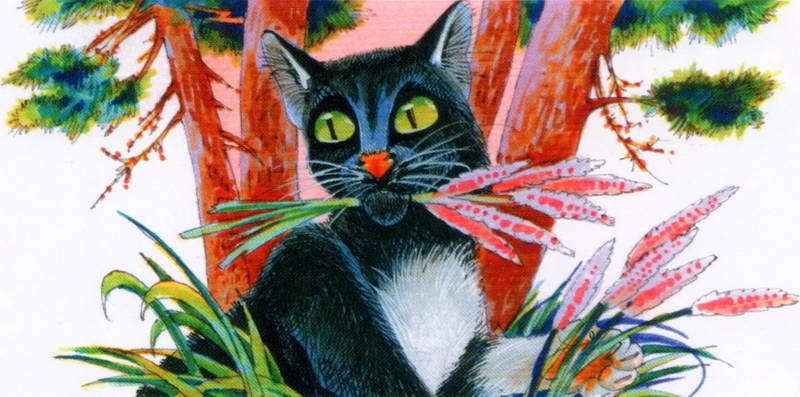 Память племен. Путеводитель по серии «Коты-воители» - pic_77.jpg