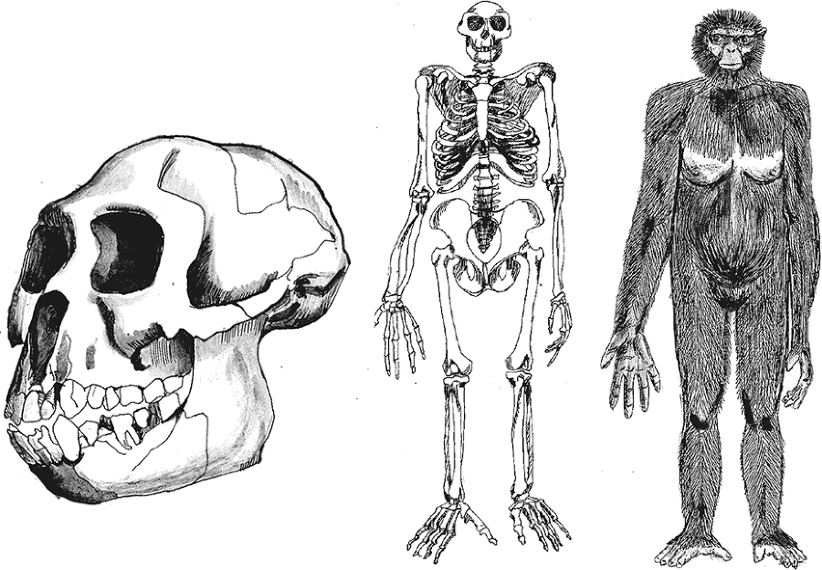 Достающее звено. Книга 2. Люди - i_003.png