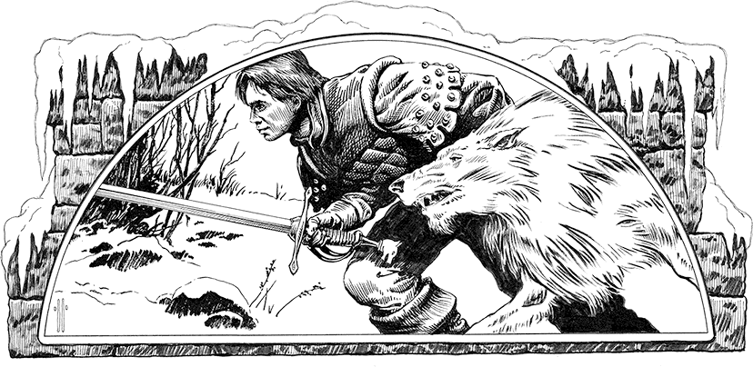 Битва королей. Книга II - i_006.png