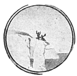 Всемирный следопыт, 1928 № 11 - i_032.png