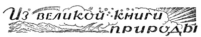 Всемирный следопыт, 1928 № 11 - i_066.png
