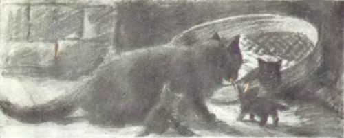 Моряк<br />(Рассказы) - i_011.jpg