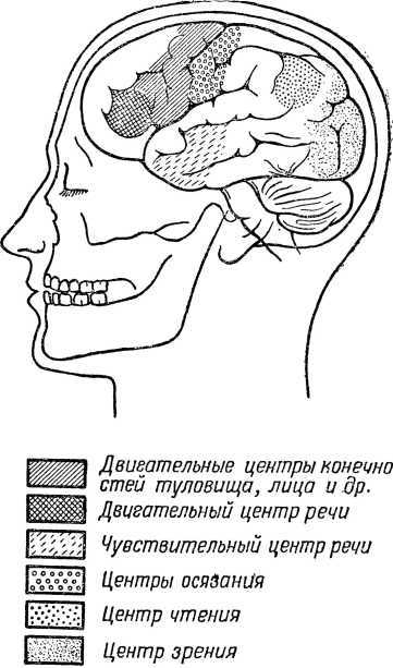 От инстинкта до разума<br />(Очерк науки о поведении) - i_023.jpg