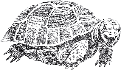 Золото скифов - i_013.png