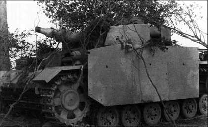 Танки III Рейха. Том II<br />(Самая полная энциклопедия) - i_030.jpg