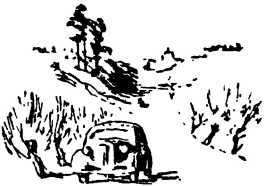 Нет ничего дороже<br />(Рассказы) - i_009.jpg