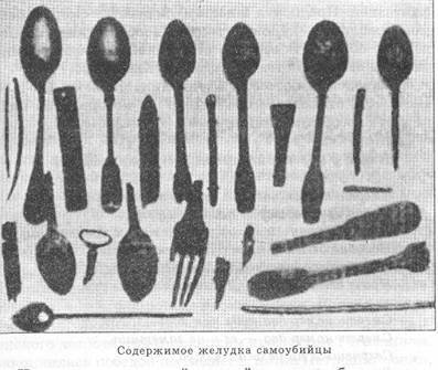 Писатель и самоубийство - picture37.jpg