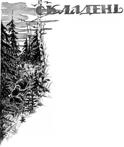Колдовской цветок<br />(Фантастика Серебряного века. Том IX) - i_019.jpg