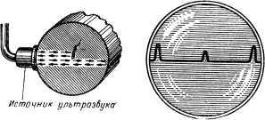Звуки в морских глубинах - i_018.jpg