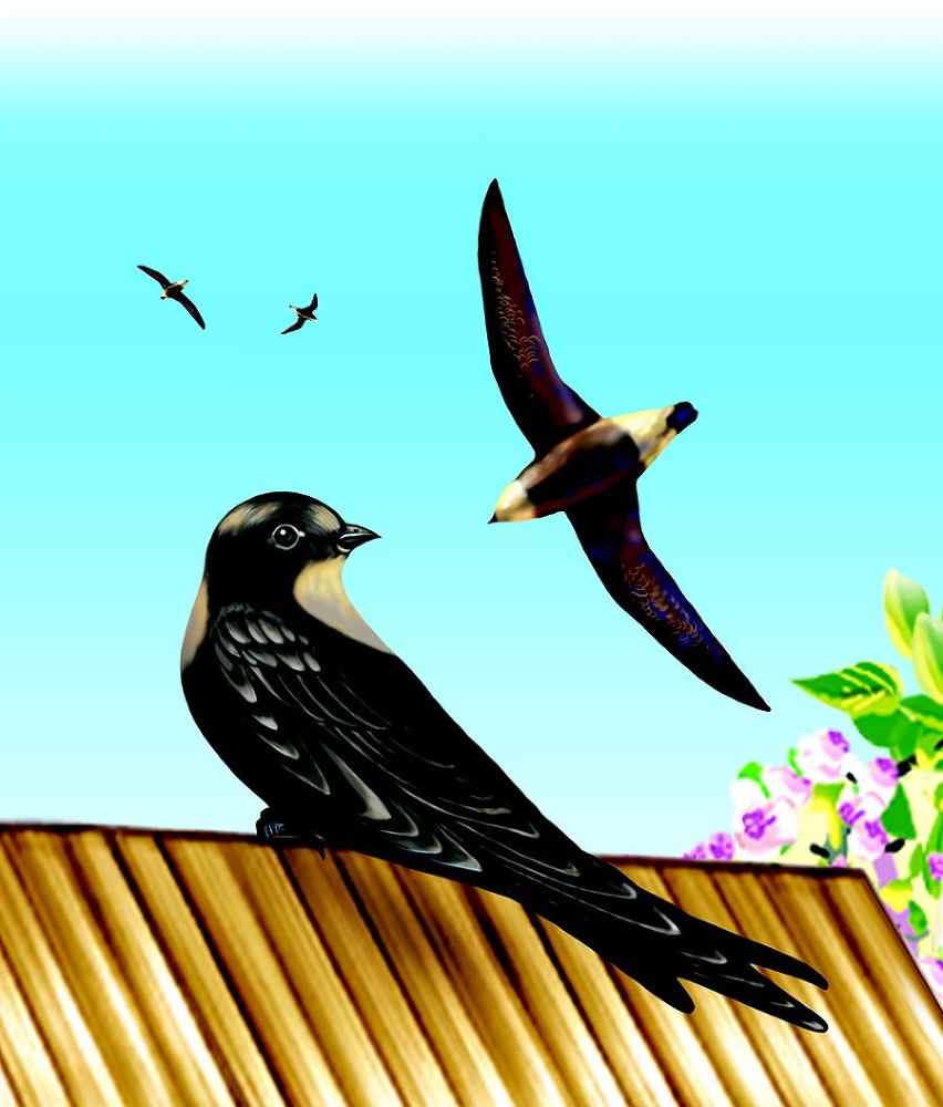 Хищники - i_006.jpg