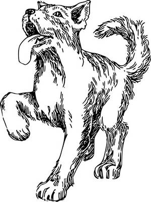 Мои звери. С вопросами и ответами для почемучек - i_002.png