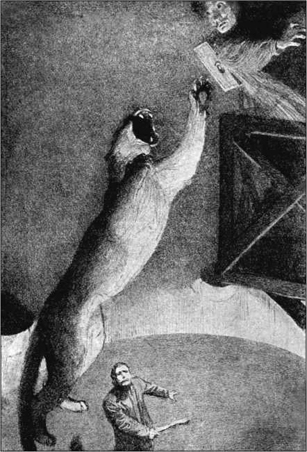Кольцо с изумрудом. Фантастика. Ужасы. Мистика. Том III - i_019.jpg