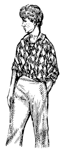 Собрание сочинений в 2 томах. Том 2. Золотой теленок - i_014.png