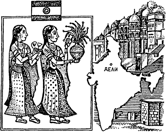 Краткая история всего на свете - i_008.png