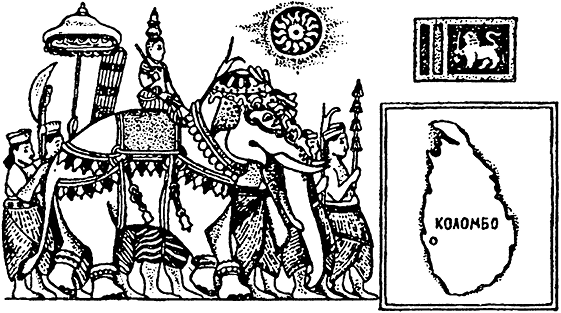 Краткая история всего на свете - i_009.png