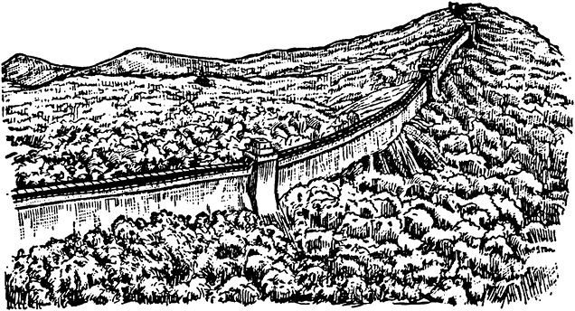 Краткая история всего на свете - i_010.png
