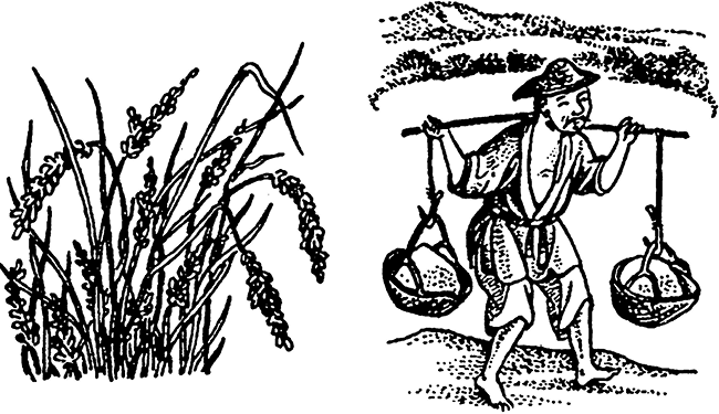 Краткая история всего на свете - i_011.png