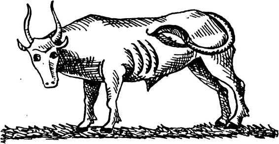Я познаю мир. Загадки истории - i_026.jpg