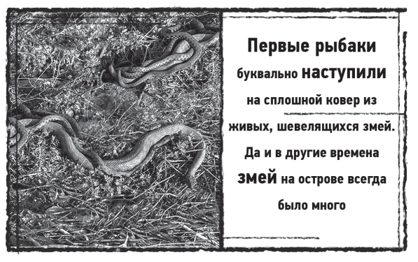 Мыс Чёрных сов - i_006.png