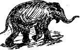 Рози – моя родня (с иллюстрациями) - pic9.jpg
