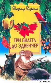 Три билета до Эдвенчер - adventure.jpg