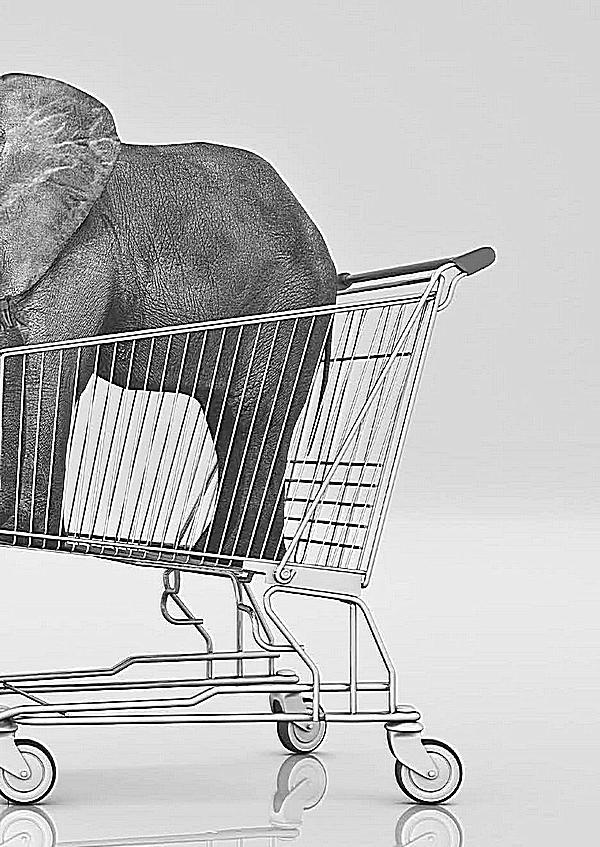 Как продать слона. 6-е юбилейное издание - i_002.jpg