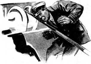 Из глубины глубин<br />(Большая книга рассказов о морском змее) - i_046.jpg