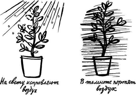 У порога великой тайны - i_020.jpg